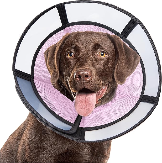 Soft Dog Cone Collar, Comfortable Pet Recovery Neck Collars After Surgery for Large Medium Dogs, Plastic Breathable Elizabethan Dog Head Circle Stop Licking, Adjustable Cones 25cm /10" Long (L Pink)