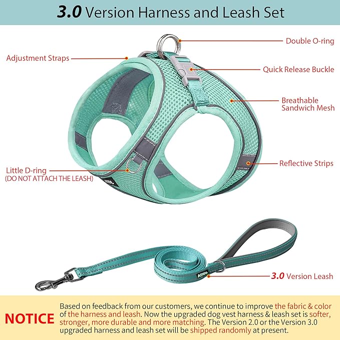 AIITLE Dog Harness, No-Pull Cat Harness with a Leash, Adjustable Reflective Dog Vest, Cat Harness Escape Proof, Outdoor Walking, Running for Extra Small Dogs and House Cats Pure Turquoise XXXS