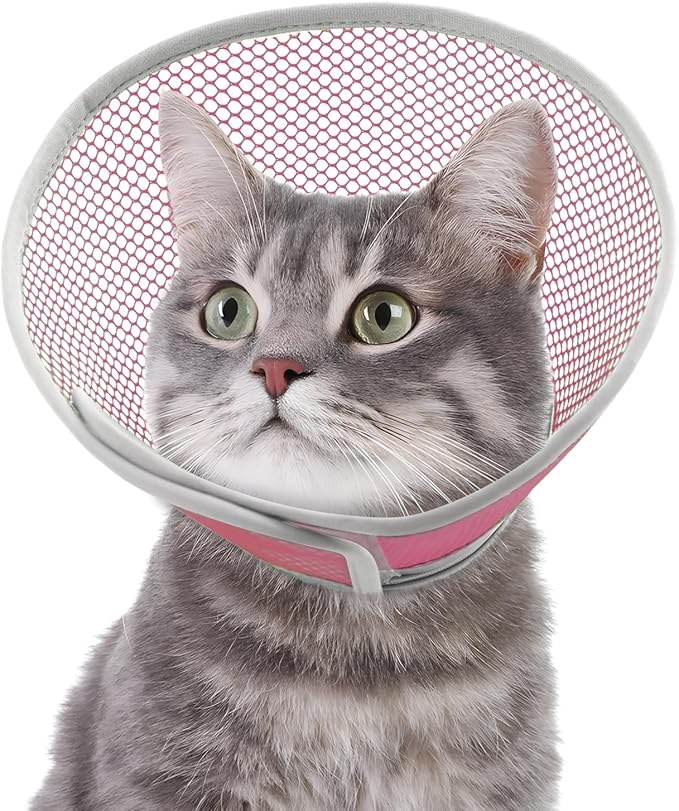 Cat Cone Collar Soft to Stop Licking After Surgery, Waterproof Lightweight Recovery Collar for Cats and Small Dogs, Elizabeth Plastic Cone Alternative, Neck Pillow to Prevent Scratches