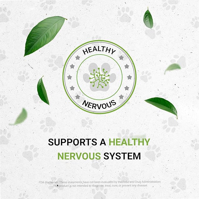 Lion's Anxiety | Natural Herbal Dietary Supplement for Cats | Support Stress Relief in Cats | Alcohol-Free Extract, Chamomile, Lemon Balm, Lavender, Linden, Fennel 2 oz