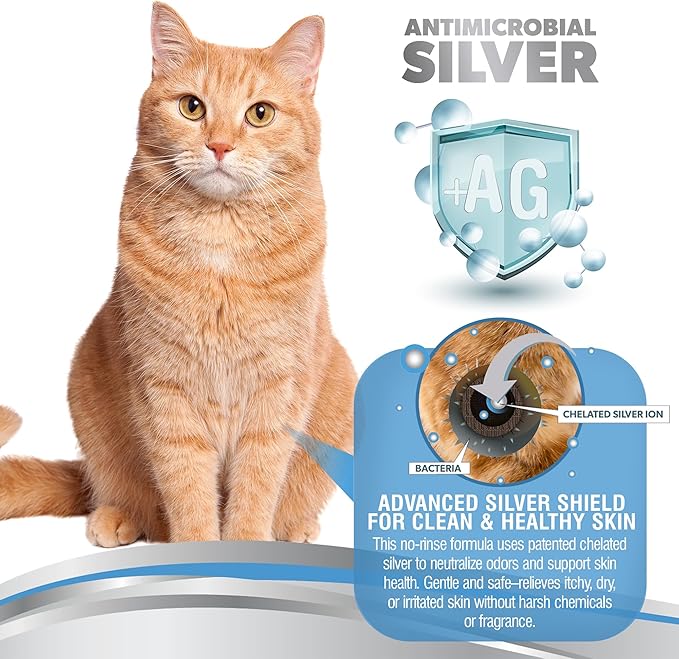 PetSilver Waterless Cat Shampoo - No Rinse Bath & Dry Shampoo for Cats - Long-Haired & Sensitive Skin - Cleans, Conditions & Moisturizes - Hypoallergenic & Fragrance-Free - Patented Formula - 5 fl oz