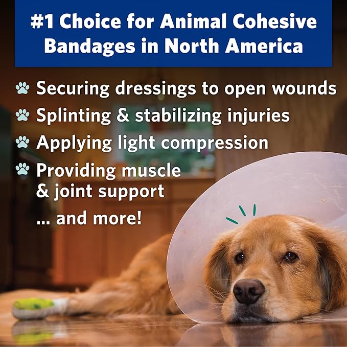 PetFlex Paw Pack – Flexible Self-Adhering Elastic Bandage for Wound Care – First Aid Wrap for Small Animals Like Dogs, Cats, and Other Pets - 2 inch, 6 Rolls