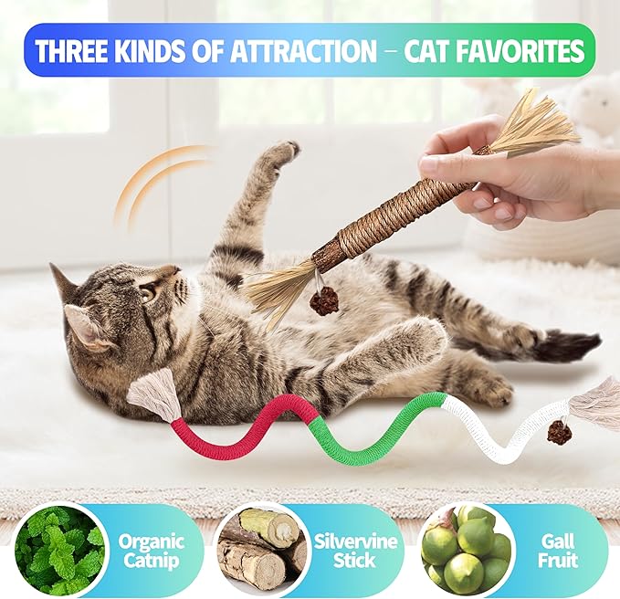 Cat Toys Chew Rope & Silvervine Sticks for Bored Indoor Adult Cats, 4Pcs Interactive Catnip Toys for Cats with Refillable Natural Catnip Bag for Teeth Cleaning