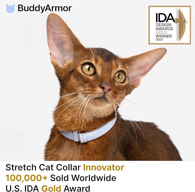 Safety Cat Collar Pro - U.S. IDA Gold Awarding Design, Elastic Quick Release Cat Collar with Buckle Non Breakaway - Lightweight for Kitten All Small Large Cats (Alpine Green, M 7.9-15.7")