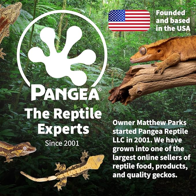 Pangea Ultimate Eco Dish, Crested Gecko Food and Water Bowl for Terrestrial Lizards, Durable Silicone Feeding Accessory for Reptile Terrariums 3.125in x 5.5in (Charcoal)