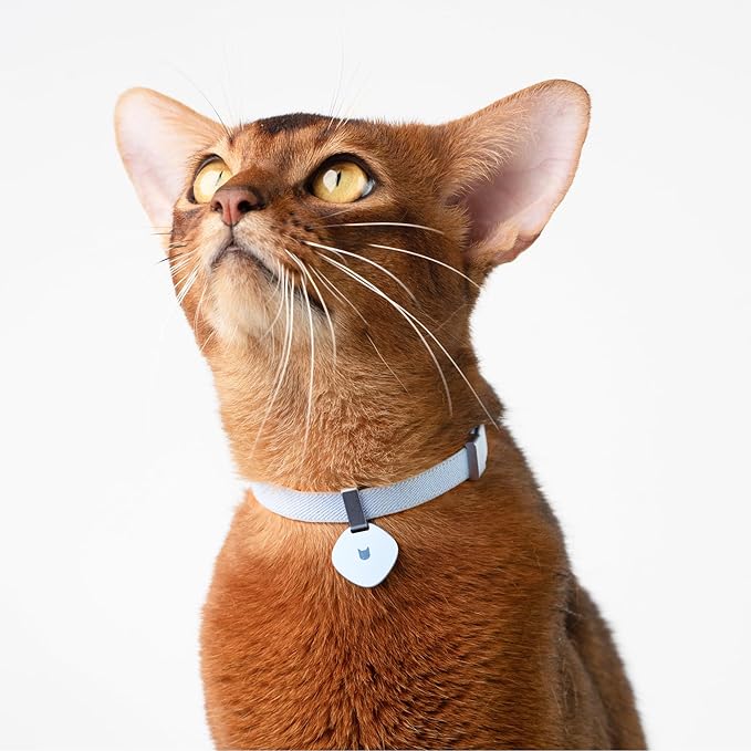 Safety Cat Collar and ID Tag Set - Elastic Quick Release, Non Breakaway Cat Collar Personalized Anodized Aluminum Engraved Pet Name Tag, Lightweight for Kitten and Small Large Cats