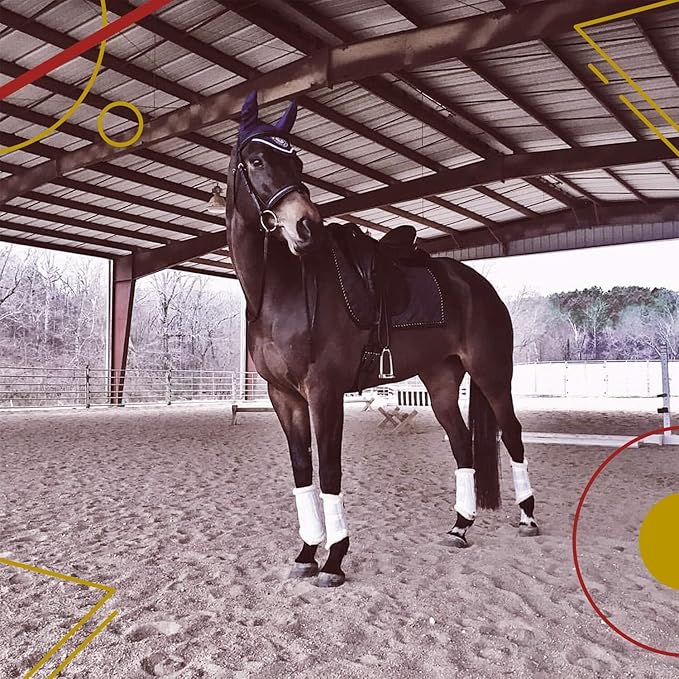 Kavallerie Classic Tendon Boots, Impact-Absorbing Material, Breathable & Evenly Distribute Pressure, Protect Tendon and Ligaments, Anti-Slip, Anti- Sore and Moisture Repellant Show Jumping Boots