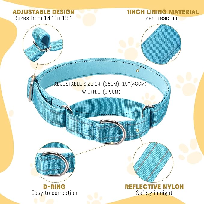 Cunno 12 Pcs Martingale Collar for Medium Dogs Reflective Dog Collar with Durable Metal Buckle Adjustable Nylon Pet Prevent Slipping Out for Pupplies, 12 Colors(Small)
