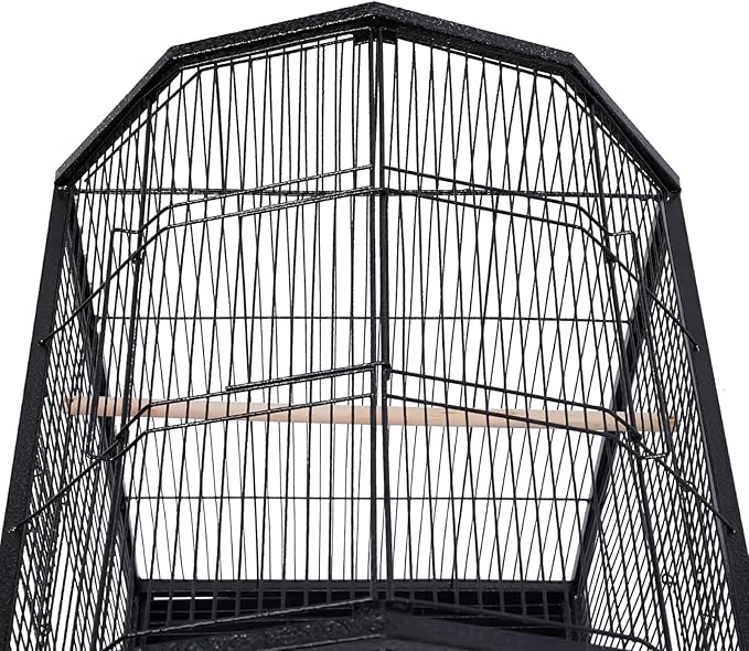 Bird Cage, Open Top Medium Small Bird Cage with 360° Full Hollow Design & Interactive Skylight Rolling Birds Cages for Cockatiel Sun Conure Green Cheek Senegal Meyer's Red-Bellied 18.11*18.11*39.9 In