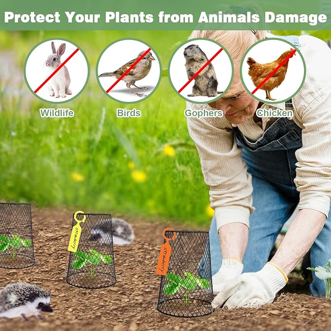 10 Pcs 6.8"×7.4" (Multiple Sizes/Quantities Available) Seedling Plant Protectors from Animals, Chicken Wire Plant Cage Garden Cloche to Protect Plants Vegetables from Rabbits Squirrels Chicken