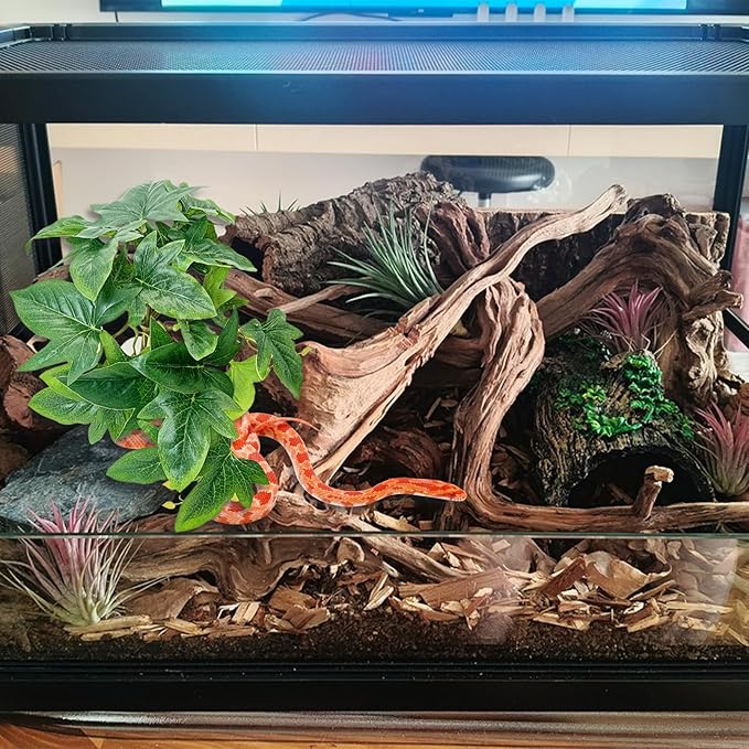 VCEPJH Reptile Plants with Suction Cup Amphibian Habitat Decor 2 Pcs Artificial Leaves for Terrarium Decor Crested Gecko Tank Accessories for Bearded Dragon, Lizard, Snake (Maple Leaves)