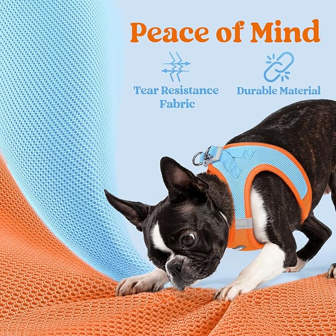 rabbitgoo Small Dog Harness, Step-in Soft Mesh Puppy Vest with Safety Buckle, Breathable Reflective Pet Harness for Small Sized Dogs, Blue & Orange XS