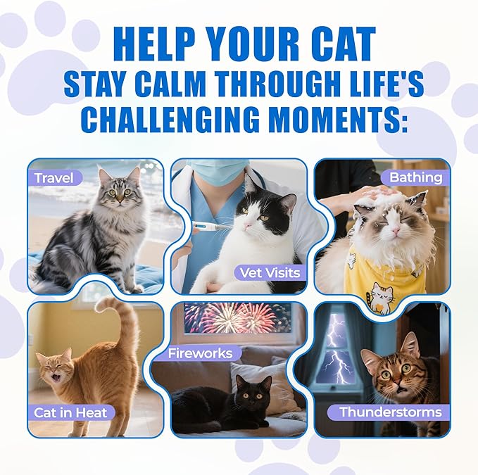 Just Try 300 Bites Calming Cat Treats for Relaxation - with Chamomile, L-Tryptophan, Melatonin for Cats– Chicken Flavor Calming Bites for Cats 6.35 oz