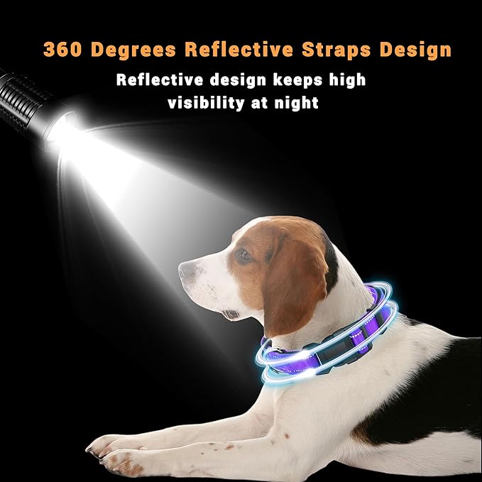 2 Pack Reflective Dog Collar with Safety Locking Buckle, Adjustable Soft Breathable Comfortable Nylon Pet Collar for Small, Medium and Large Dogs, Purple, L