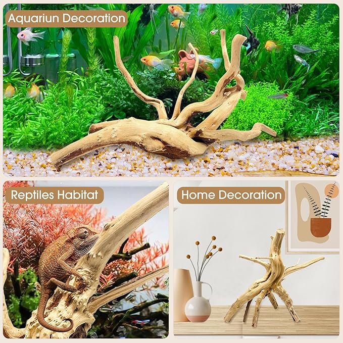 Jorewood Natural Large Spiderwood Driftwood for Aquarium Decor Rptile Fish Tank Decoration Assort Branch 11-14'' 2 Pcs