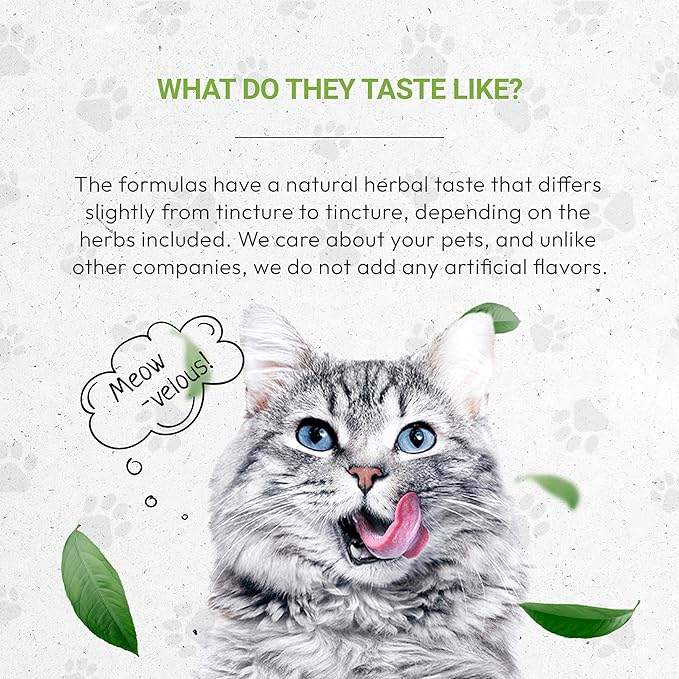 Lion's Respiratory | Natural Herbal Dietary Supplement for Cats | Healthy Respiratory System Support in Cats | Alcohol-Free Extract, Linden, Elder Flowers, Chamomile, Peppermint, Fennel 2 oz