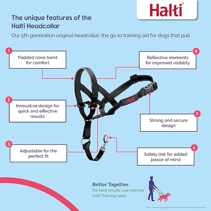 Halti Headcollar - Stop Your Dog Pulling on The Leash. Adjustable, Reflective and Lightweight, with Padded Nose Band. Dog Training Anti-Pull Collar for Medium Dogs (Size 3, Forest Green)