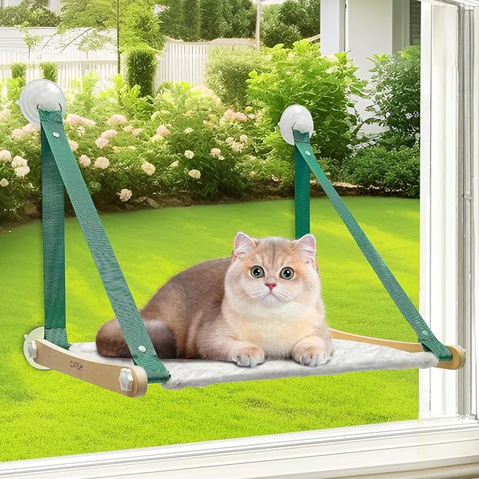 CATISM Cat Window Perch Foldable - Cats Hammock for Window, 2 in 1 Cat Window Hammock Bed for Indoor Cats, Cat Perch with Sturdy Screw Suction Cups for Kittens (Green)