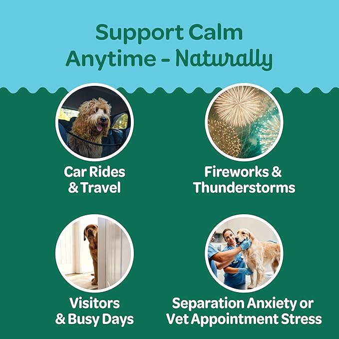 Wholesome Pride Calming Supplement for Dogs - 90 Soft Chews - Natural Anxiety Relief, Separation & Noise Stress Support with Herbal Ingredients, No Melatonin, Non-Drowsy