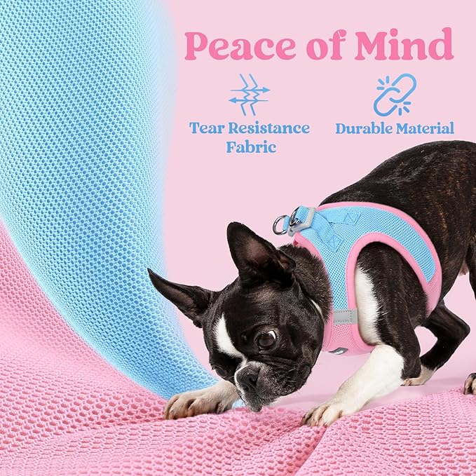 rabbitgoo Small Dog Harness, Step-in Soft Mesh Puppy Vest with Safety Buckle, Breathable Reflective Pet Harness for Small Sized Dogs, Blue & Light Pink XS