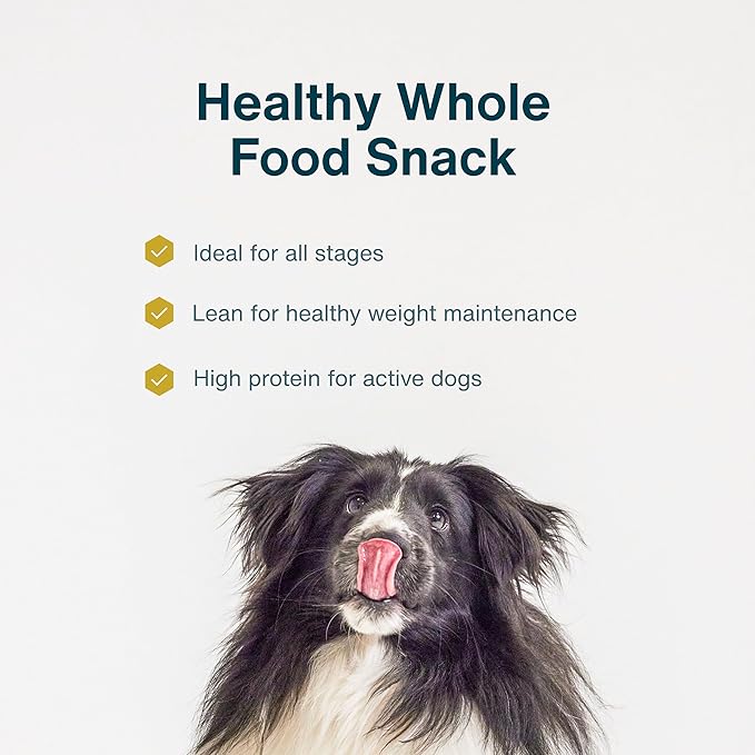 JustFoodForDogs Healthy Dog Treats, Limited-Ingredient, Chicken Apple Bark, Made in The USA, 5 oz