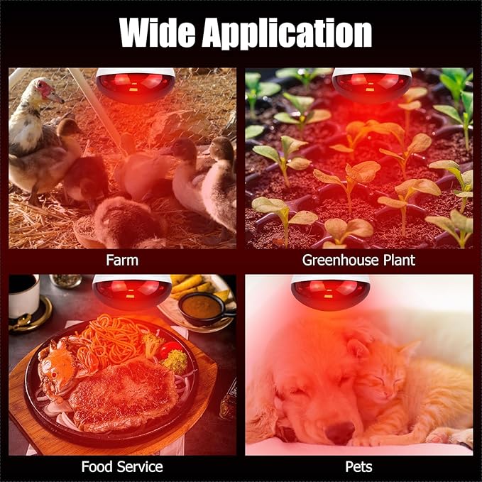 250W Infrared Heat Lamp for Chicken, Red Heat Light Bulb R125 1 Pack, Heat Lamp Bulb for Chick Croop, Reptiles, Pets, Food