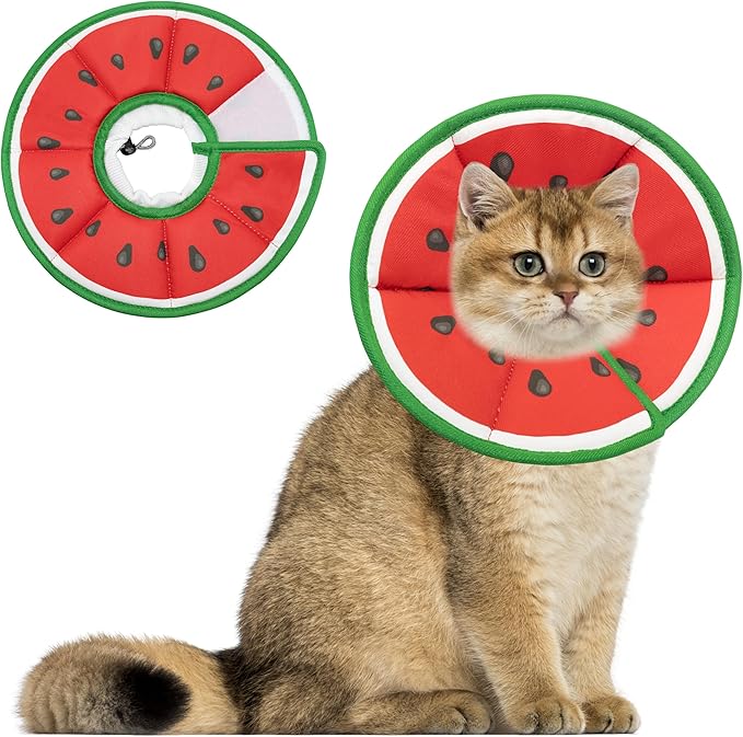 Soft Adjustable Cat Cone Collar, Comfortable Recovery Collar for Cats After Surgery (Watermelon, Small)