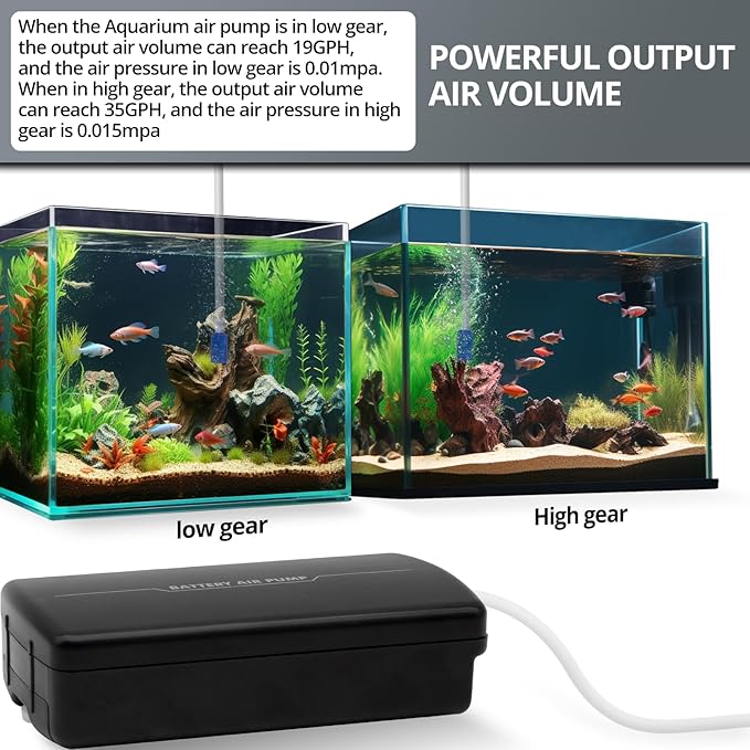 Small Aerator for Fish 19GPH-35GPH, Minnow Bucket USB Aerator, Bait Bucket Adjustable Aerator Pump, Quiet Voice, with Car Cigarette Lighter, Suitable for Fishing Enthusiasts