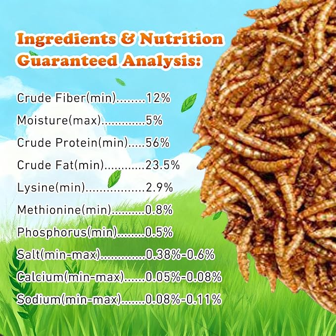 Amzey Dried Mealworms 11 LBS - 100% Natural for Chicken Feed, Bird Food, Fish Food, Turtle Food, Duck Food, Reptile Food, Non-GMO, No Preservatives, High Protein and Nutrition
