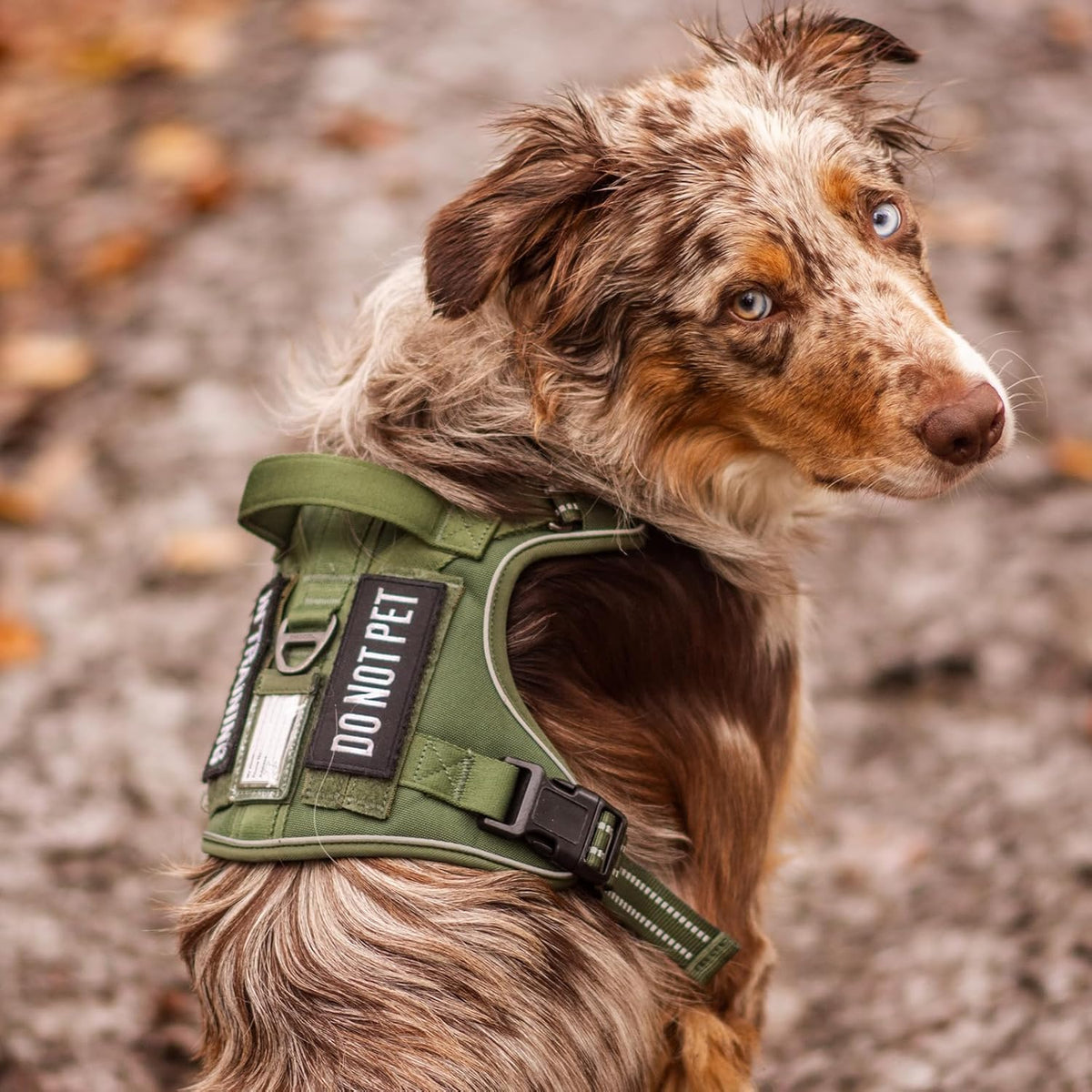 rabbitgoo Dog Harness for Large Dogs No Pull, Tactical Service Pet Vest with Molle and Control Handle, Adjustable and Reflective Military Harness for Easy Walking and Training, Black, XL