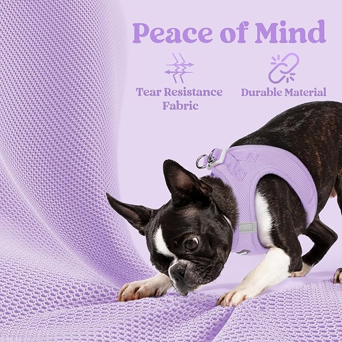 rabbitgoo Small Dog Harness, Step-in Soft Mesh Puppy Vest with Safety Buckle, Breathable Reflective Pet Harness for Large Dogs, Light Purple XXL
