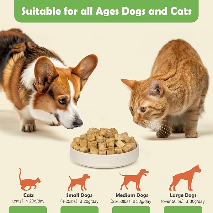 MON2SUN Freeze Dried Salmon Cat and Dog Treats, Single Ingredient Natural and Healthy Dog Snacks, High Protein Training Treats & Food Topper, 6oz