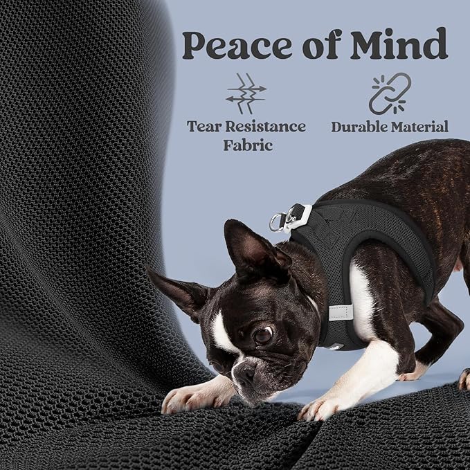 rabbitgoo Small Dog Harness, Step-in Soft Mesh Puppy Vest with Safety Buckle, Breathable Reflective Pet Harness for Extra Small Dogs, Black XXXS