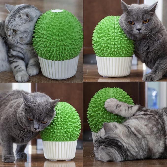 Catnip Feeder - Cat Face Scratcher Wall Corner Massage Comb for Indoor Cats Self Grooming Brush (Green)
