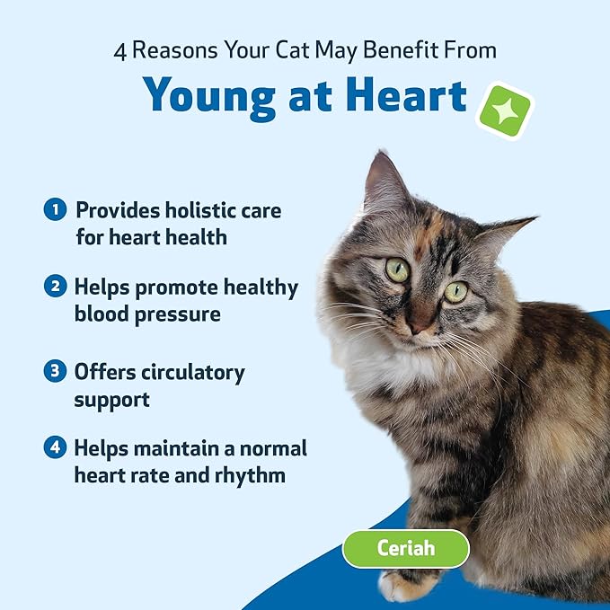 Pet Wellbeing Young at Heart for Cats - Heart Health, Circulatory & Cardiovascular System, Hawthorn, Motherwort, Schisandra - Veterinarian-Formulated Herbal Supplement 4 oz (118 ml)