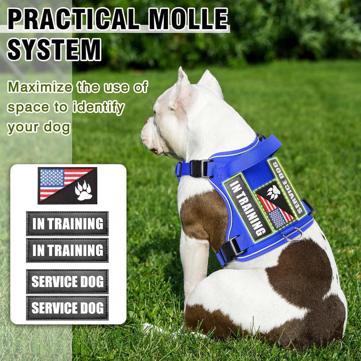WINSEE Service Dog in Training Harness with 5 PCS Patches, Reflective Tactical Dog Vest Harness, Adjustable Soft Oxford Pet Harness with Easy Control Handle, Hook & Loop Panels for Walking Hiking