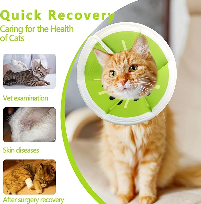 Soft Adjustable Cat Cone Collar, Comfortable Recovery Collar for Cats After Surgery (Kiwifruit, Small)