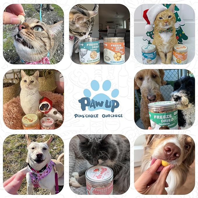 Freeze Dried Sheep Milk Yogurt Flavor, Gentle Sheep Milk Dog Treats for Sensitive Stomachs Puppies, 2.8 oz