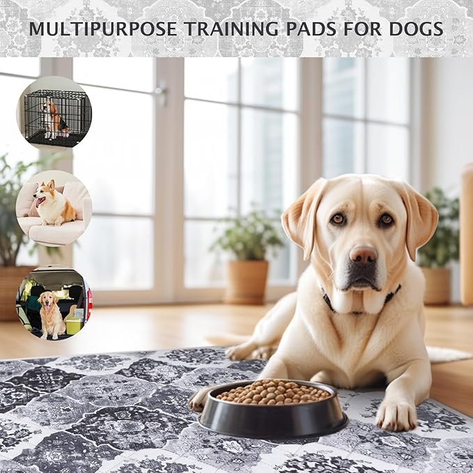 IEUUMLER Washable Pee Pads for Dogs, 2 Pack Reusable Pee Pads for Dogs Non-Slip Grip, Super Absorbent Waterproof Puppy Pads for Potty Training, Playpen, Crate, Whelping Box EU011 Black Grey, 36x24