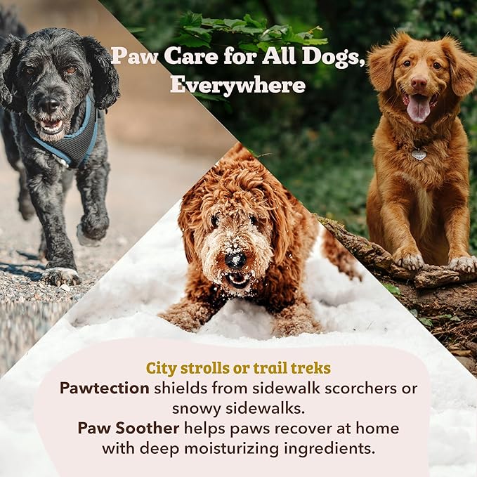 Natural Dog Company PawTection Balm for Dogs, Dog Paw Protector, Moisturizing Dog Paw Balm for Dry, Cracked Pad, Protects Paw from Extreme Weather, Paw Lotion for Allergies & Itching (1 oz Tin)