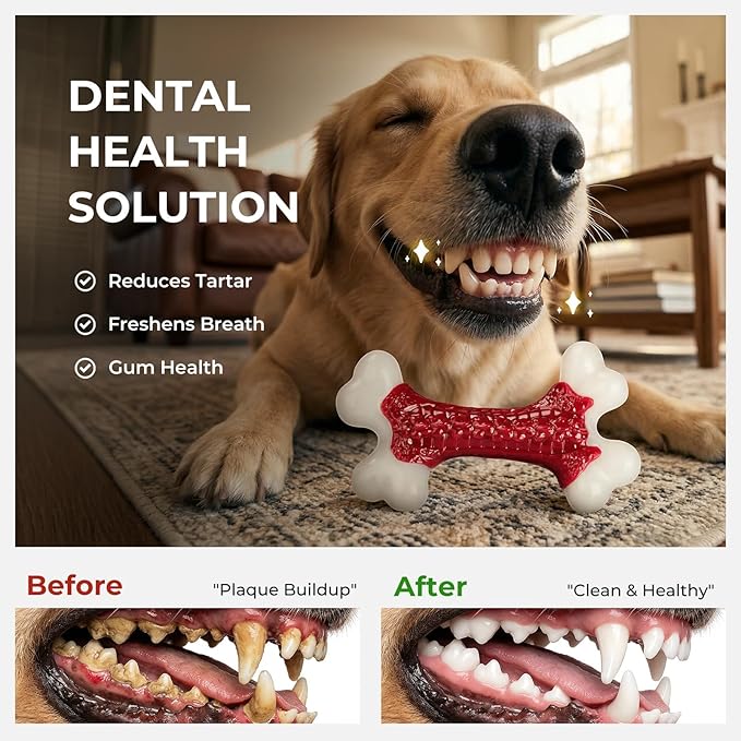 10-Pack Indestructible Dog Toys for Aggressive Chewers: Beef Flavored Hard Nylon Bone Chew Toys, Tough Dog Chew Toys for Large Dogs, Dog Toys to Keep Them Busy for Medium Large Breed, Red