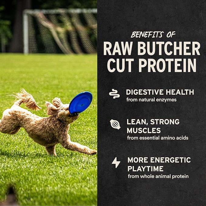 Vital Essentials Single Ingredient Beef Liver Dog Treats, 15 oz | Freeze-Dried Raw | Premium Quality High Protein Training Treats | Grain Free, Gluten Free, Filler Free