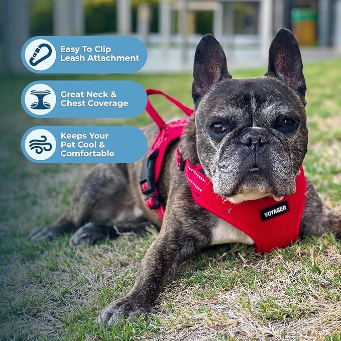 Best Pet Supplies Voyager Adjustable Step-in Flex Breathable Mesh Dog Harness for Small Medium Large Dogs (Red), M