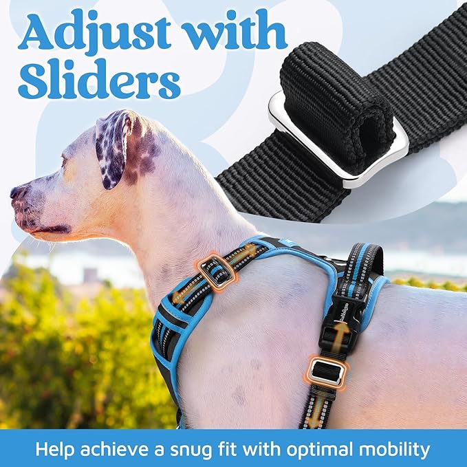 rabbitgoo Dog Harness for Large Dogs, No Pull Pet Vest with 3 Buckles, Adjustable Soft Padded Pet Harness with Easy Control Handle and Reflective Strips, Black & Sky Blue, L