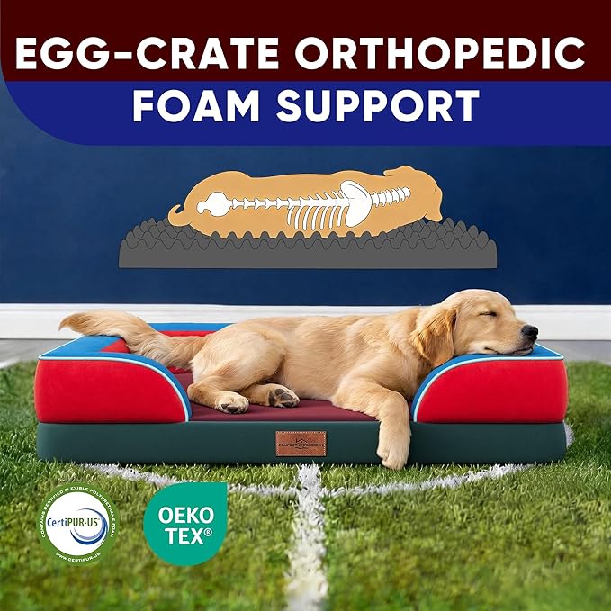 Comfort Expression Orthopedic Dog Bed for Extra Large Dogs 42x30 Inch, Waterproof Egg Crate Foam XL Pet Bed with Removable Bolsters, Dog Couch with Washable Cover & Non-Slip Bottom, San Francisco