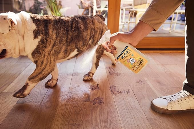 Mrs. MEYER'S CLEAN DAY Pet Multi-Surface Cleaner, Orange Blossom Scent, 16oz