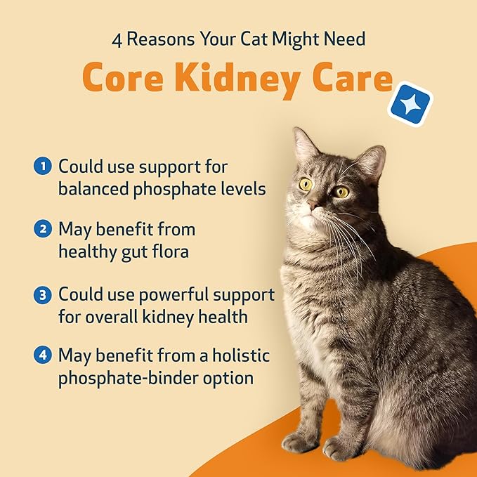 Pet Wellbeing Core Kidney Care for Cats - Daily Phosphate Binder, Supports Healthy Kidney Function with FOS, Chitosan, Probiotics - Veterinarian-Formulated 5.08 oz (144 g) Powder