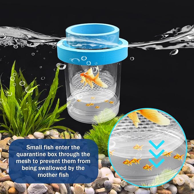 Large Floating Fish Breeding Box, Plastic Breeding Box for Fish Tank with Suction Cup, Clear Aquarium Divider Incubator, Adjustable Isolation Hatchery for Shrimp Guppy