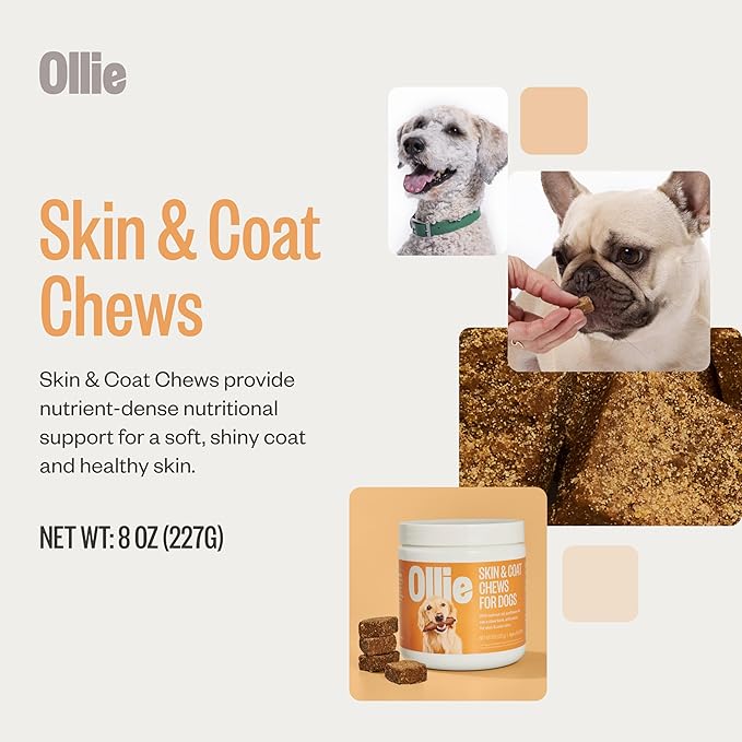Ollie Dog Skin & Coat Supplement, Soothes Irritated Skin, Promotes Healthy & Shiny Fur & Coat, 60 Count Appx.