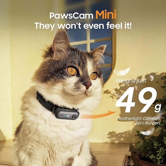 4K UHD Dog& Cat Pet Camera Collar, Video Recorder with Phone App View, Outdoor & Indoor POV Action Cam for Small and Medium-Size Dogs(White - Black Nylon Collar - M, 128g)